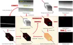 Reweighted Infrared Patch-Tensor Model With Both Nonlocal and Local Priors for Single-Frame Small Target Detection