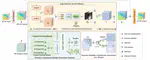 MoCoLSK: Modality-Conditioned High-Resolution Downscaling for Land Surface Temperature